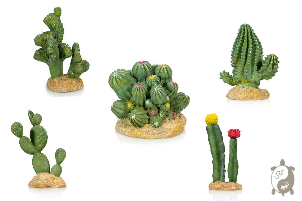 Dcors en rsine - Cactus