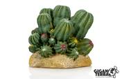Cactus 2 - 12x10.5x11cm