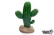 Cactus 10 - 17x13x24.5cm