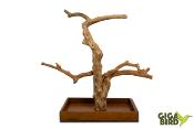 🌿 Arbre en bois de Java sur socle - 80/100cm