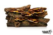 Tronc d'arbre Champignon - 20,5x11x10,5cm