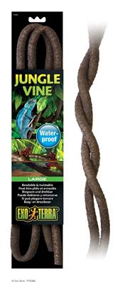 Jungle vine