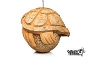 Coconut oiseau - Tortue - 20x18x17cm