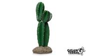 Cactus 9 - 15x14.5x33cm