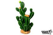 Cactus 351 - 26 X 18.5 X 42.5 CM