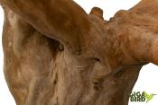 🌿 Arbre en bois de Java sur socle - 150/180cm