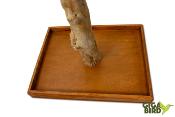 🌿 Arbre en bois de Java sur socle - 150/180cm