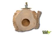 Support pour gelée (Jelly) en bois de Java
