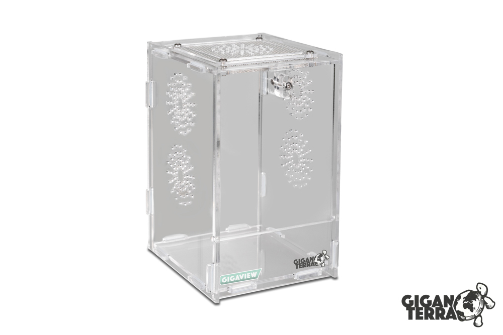 Terrarium en acrylique - Gigaview - 10 × 11 × 16,5 cm