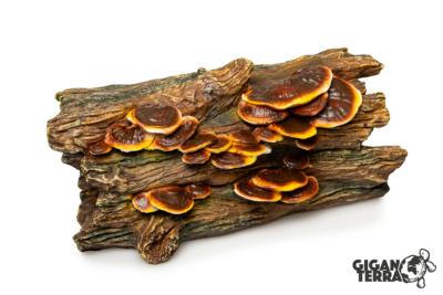 Tronc d'arbre Champignon - 20,5x11x10,5cm