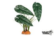 Plante sur Pied (effet mouillé) - 30x16x48cm