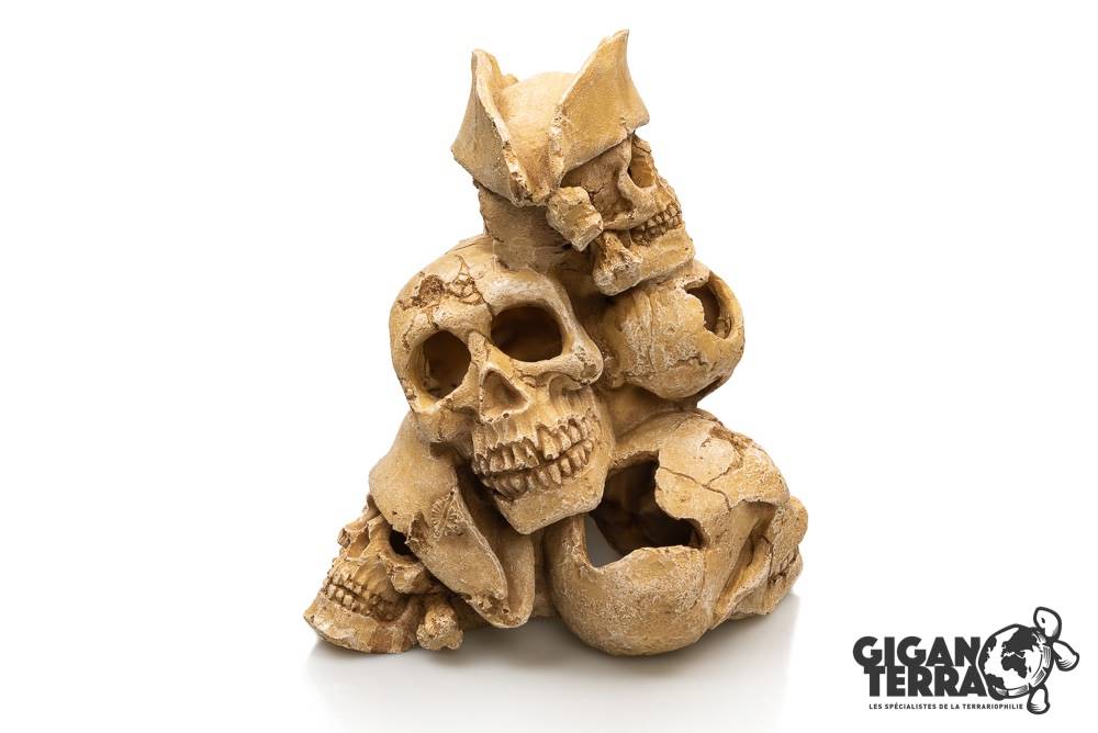 Montagne de Skull Human 576 - 25x21x27.7cm