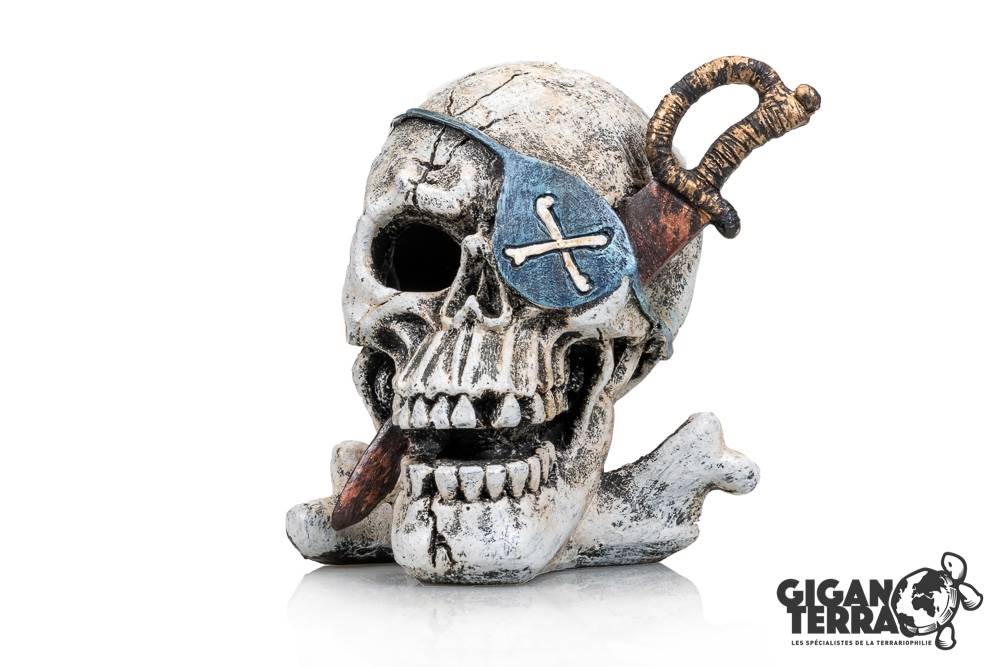 Crâne Pirate 2 - 10x10.5x11cm
