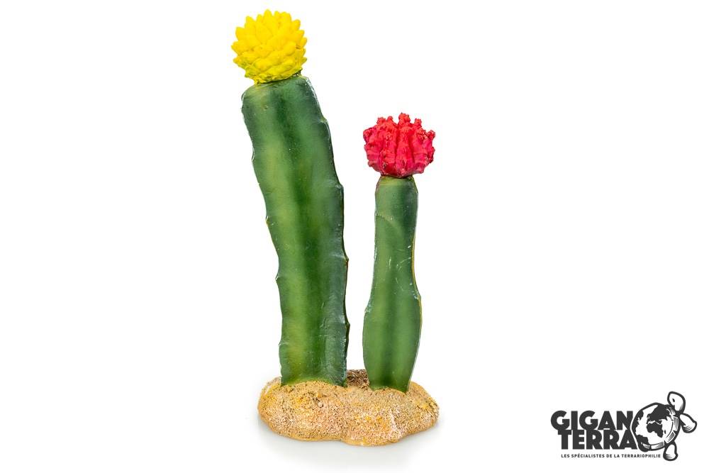 Cactus 6 - 8x6x18cm