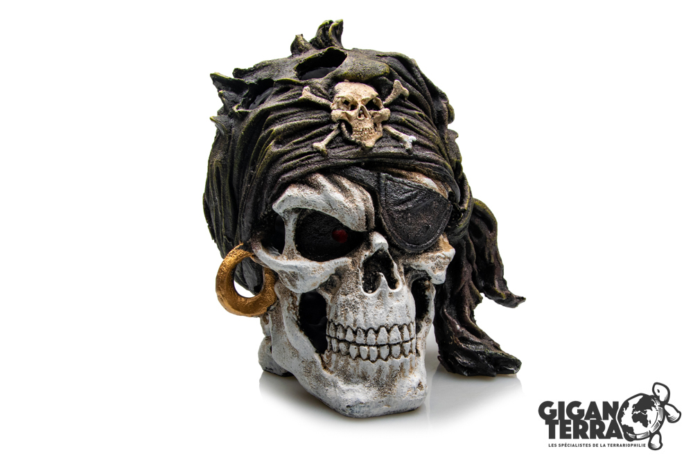 Crâne Pirate 786 - 17.5x15.5x18cm