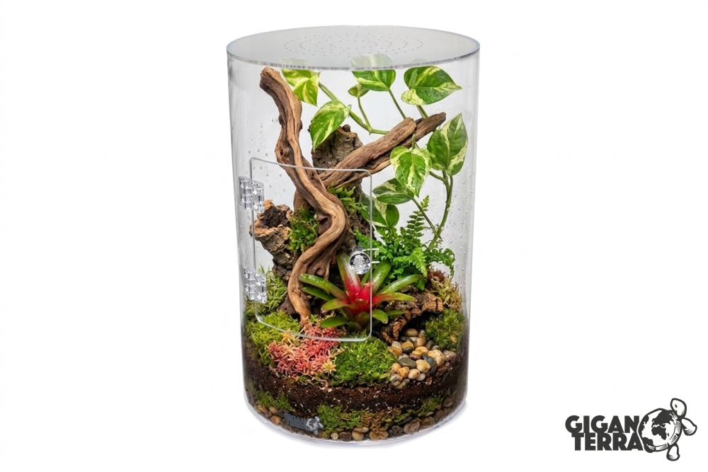 Terrarium en acrylique - Gigaview - Cylindre vertical - Ø : 22cm - H: 33,5cm