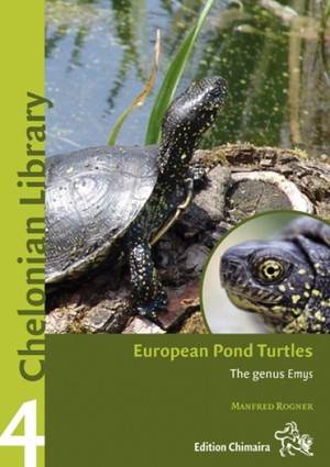 European Pond Turtle Emys Orbicularis