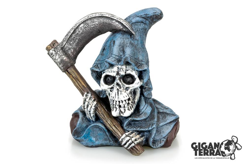 Crâne Pirate 6 - 11.5x6.5x12cm