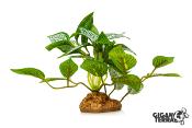 Fittonia Artificiel sur Pied - 10 cm