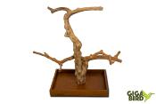 🌿 Arbre en bois de Java sur socle - 80/100cm
