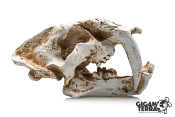 Tigre à dents de sabres XL - 484 - 26.5x14.5x15.5cm