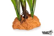 Plante sur Pied (effet mouillé) - 30x16x48cm