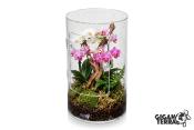 Terrarium en acrylique - Gigaview - Cylindre vertical - Ø :16cm - H: 25,5cm