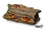Tronc d'arbre Champignon - 20,5x11x10,5cm