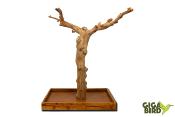 🌿 Arbre en bois de Java sur socle - 100/120cm
