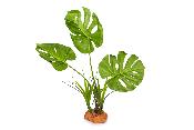 Plante sur Pied (effet mouillé) - 30x16x48cm