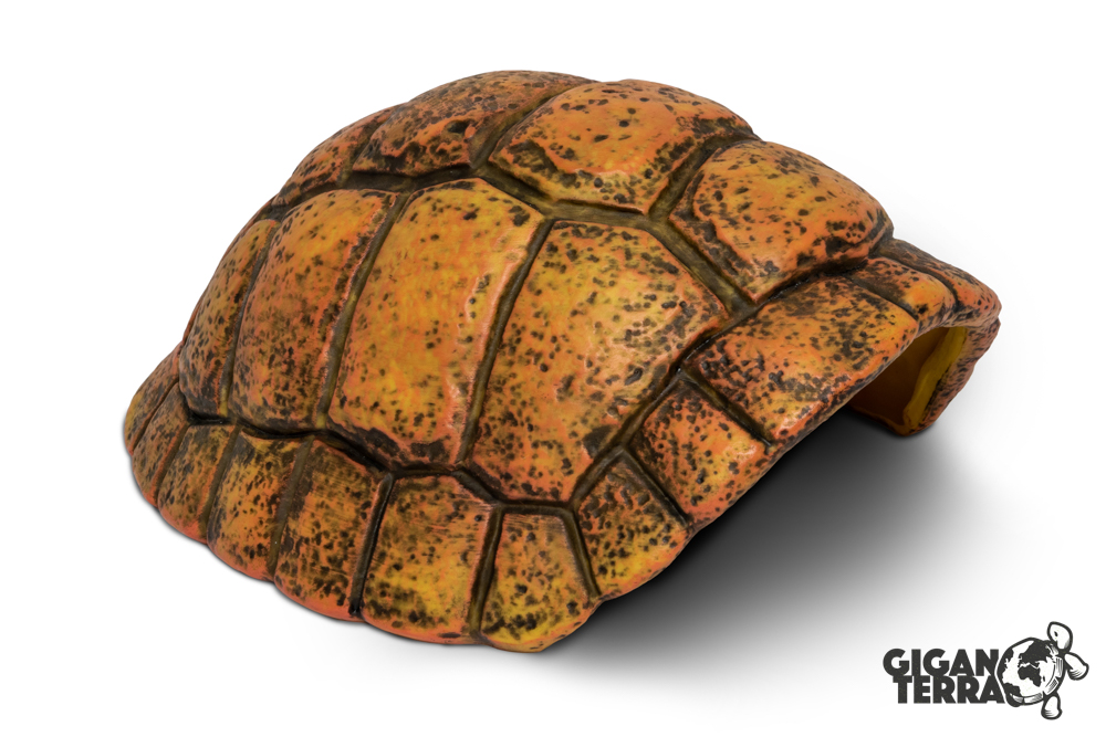 Carapace de Tortue - Grotte- 30x24x14cm