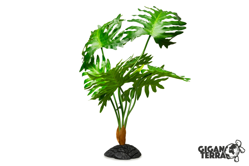 Plante sur pied - 55cm
