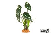 Plante sur Pied (effet mouillé) - 30x16x48cm