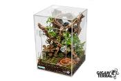 Terrarium en acrylique - Gigaview - Rectangulaire - 15x15x22cm