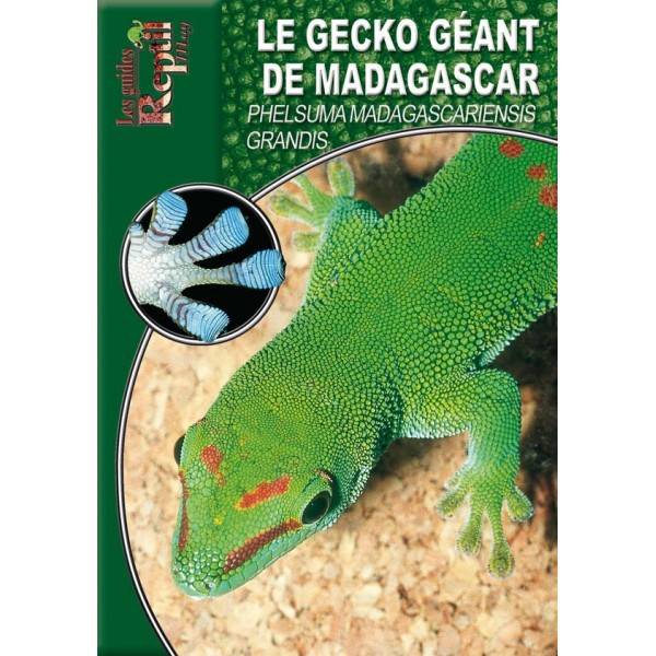 Livre sur le gecko géant de Madagascar