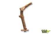 Perchoir Simple en bois de Java - 30cm