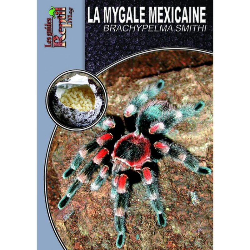 Livre La Mygale Mexicaine - Brachypelma smithi