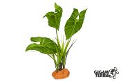 Plante sur Pied (effet mouillé) - 30x16x48cm