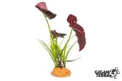Plante sur Pied (effet mouillé) - 30x16x48cm
