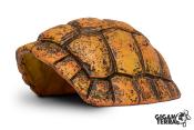 Carapace de Tortue - Grotte- 30x24x14cm