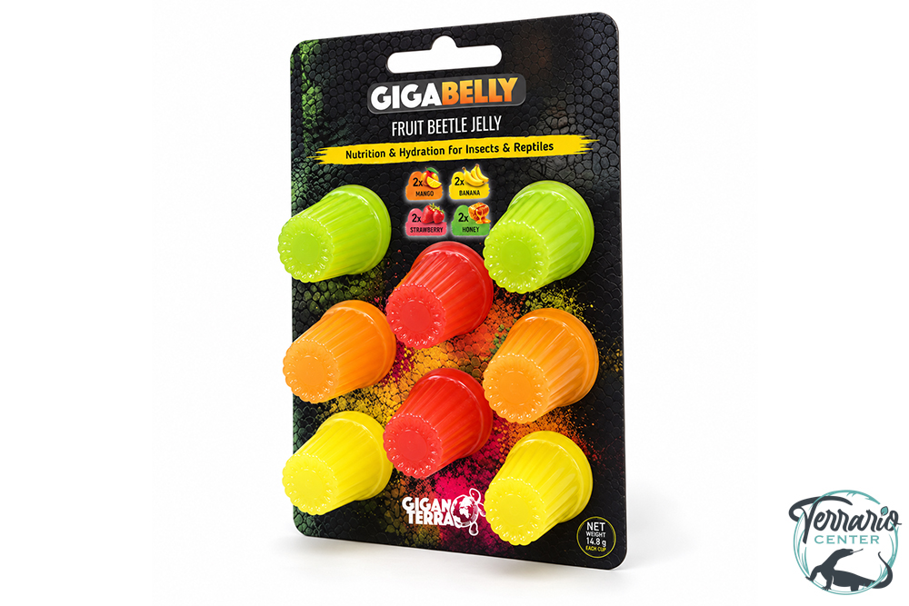 GIGABELLY - FRUIT BEETLE JELLY X 8