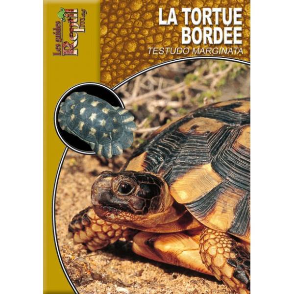 Livre - La tortue bordée
