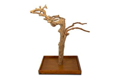 🌿 Arbre en bois de Java sur socle - 120/150cm