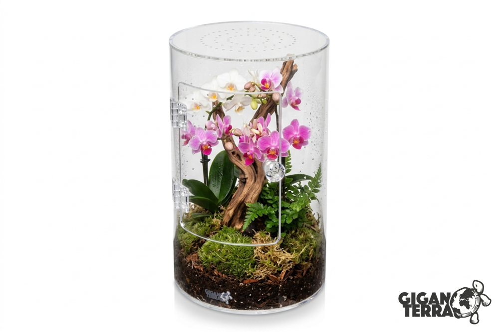Terrarium en acrylique - Gigaview - Cylindre vertical - Ø :16cm - H: 25,5cm