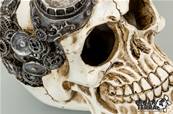 Crâne Pirate 10 - 13.5x9.5x12cm