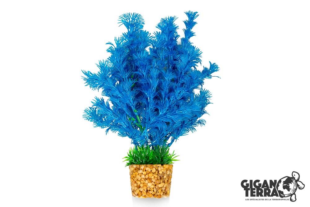 Plante Aqua 673 - H 20cm
