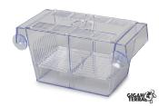 GIGASPAWN - BREEDER BOX - BOITE DE REPRODUCTION - 20X10X10 CM