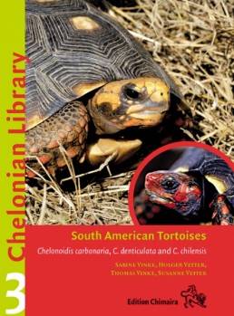 South American Tortoises