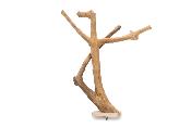 Perchoir Double en bois de Java - 30cm