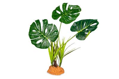 Plante sur Pied (effet mouillé) - 30x16x48cm
